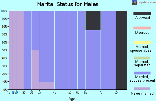 Bloomington marital status for males