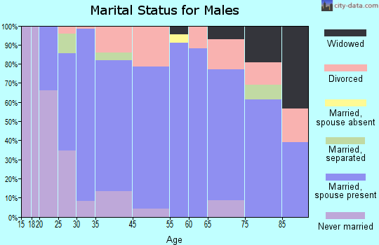 Filer marital status for males