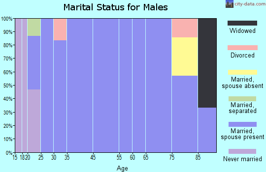Georgetown marital status for males
