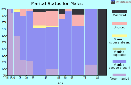 Heyburn marital status for males