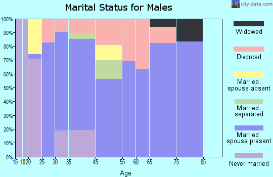 Horseshoe Bend marital status for males