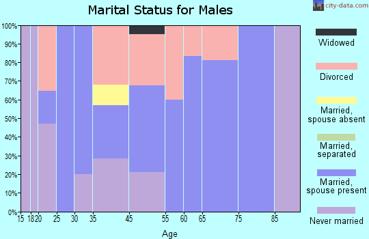 Idaho City marital status for males
