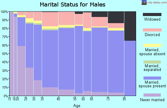 Idaho Falls marital status for males