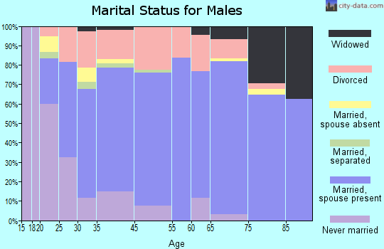 Jerome marital status for males