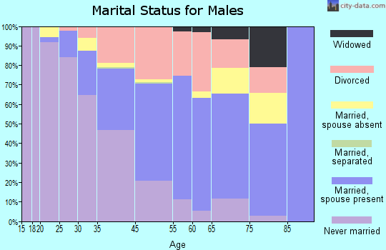 Ketchum marital status for males
