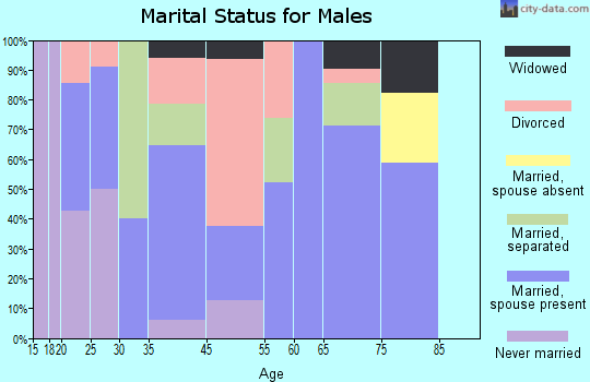 Lava Hot Springs marital status for males