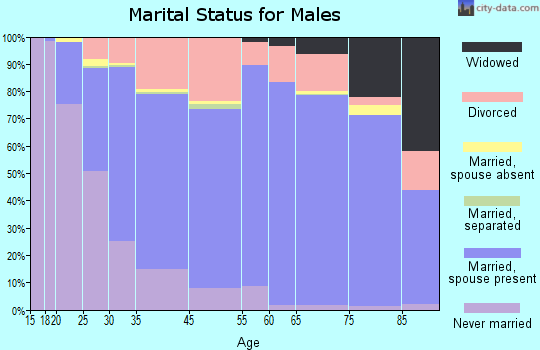 Lewiston marital status for males