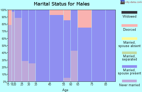 Lewisville marital status for males