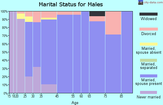 Menan marital status for males