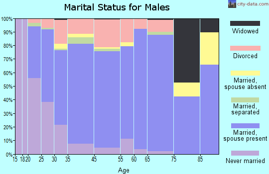 Mountain Home marital status for males