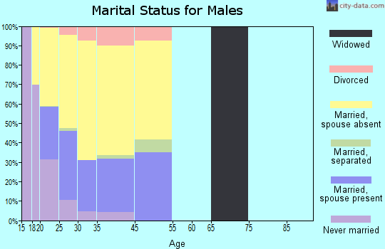 Mountain Home AFB marital status for males