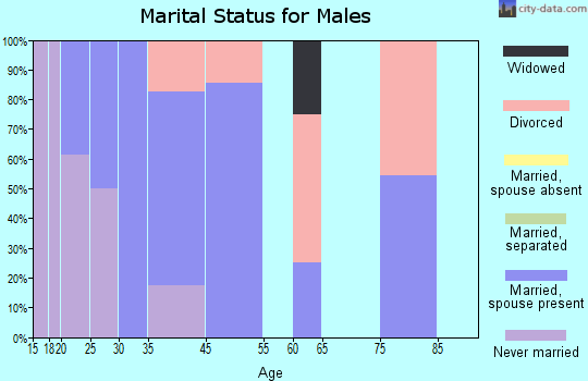 Mud Lake marital status for males