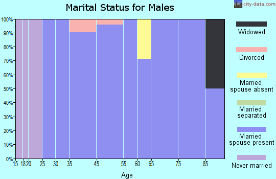 Newdale marital status for males