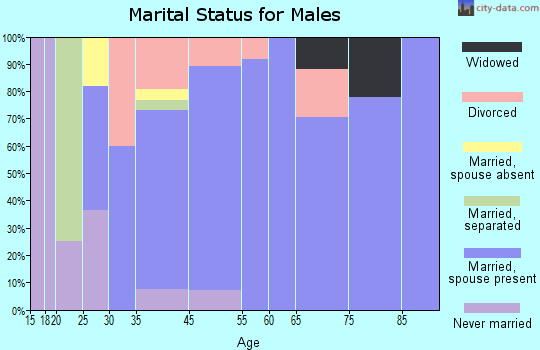 New Meadows marital status for males