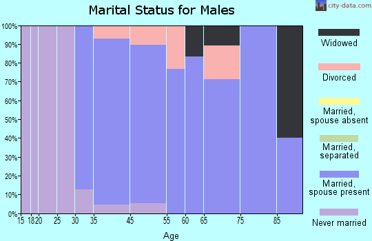 Nezperce marital status for males
