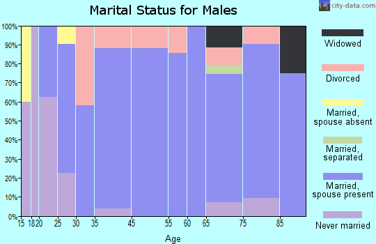 Branchville marital status for males