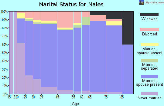 Post Falls marital status for males