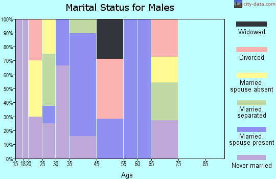 Aleknagik marital status for males