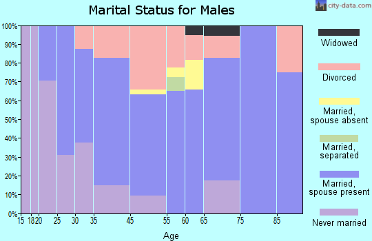 Spirit Lake marital status for males