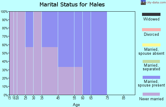 Allakaket marital status for males