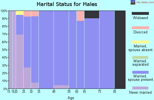 Sugar City marital status for males