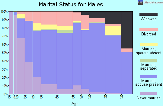 Twin Falls marital status for males