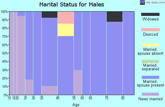 Allendale marital status for males