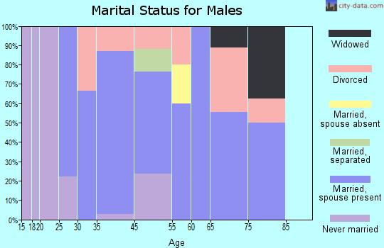 Apple River marital status for males