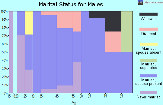 Arenzville marital status for males