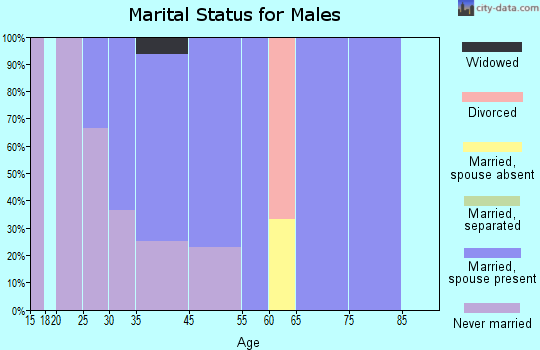 Arlington marital status for males
