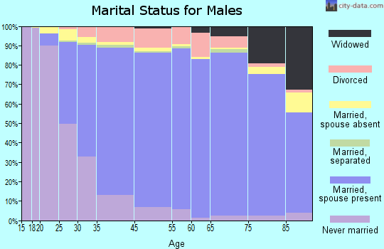 Arlington Heights marital status for males