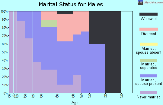 Aniak marital status for males