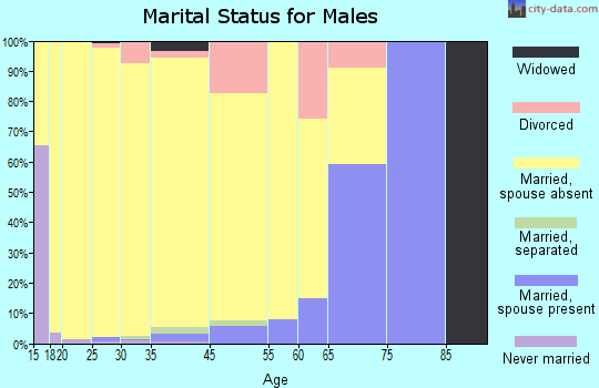 Baldwin marital status for males