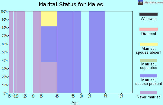 Anvik marital status for males