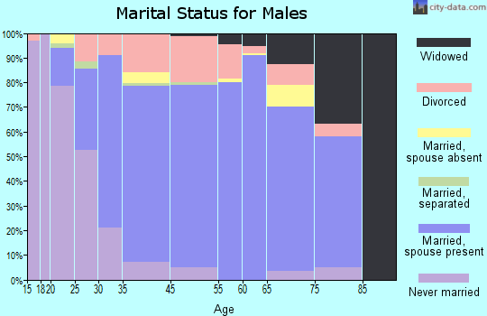 Beach Park marital status for males