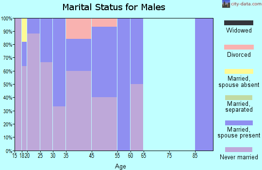 Atmautluak marital status for males