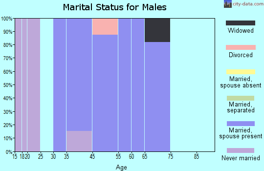 Bishop Hill marital status for males