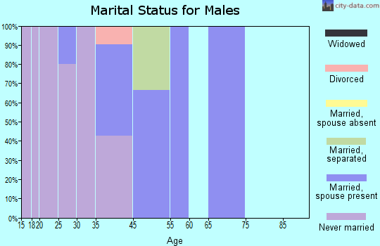 Atqasuk marital status for males