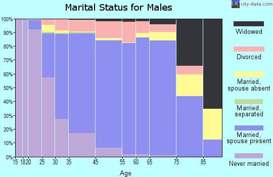 Bloomingdale marital status for males