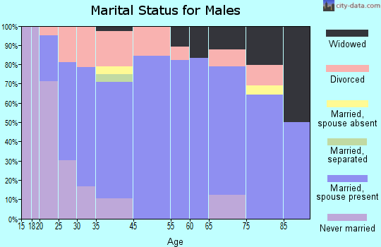 Blue Mound marital status for males