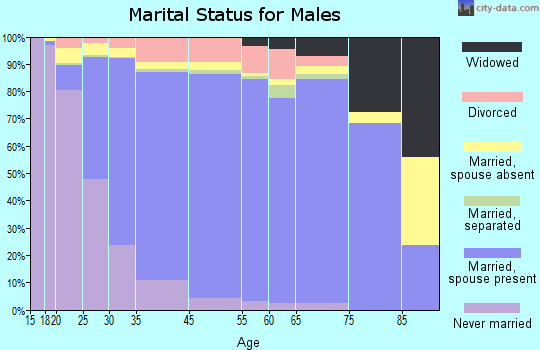 Bolingbrook marital status for males