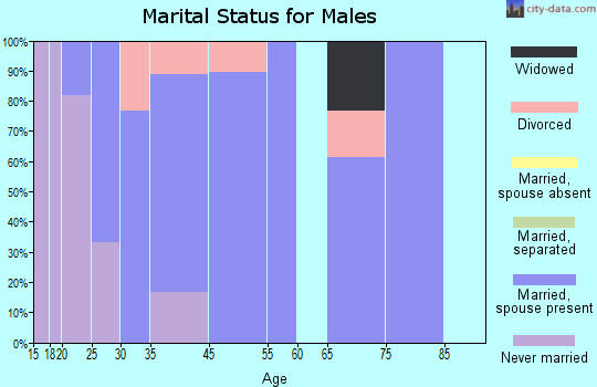 Bone Gap marital status for males