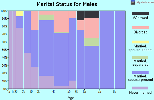 Braceville marital status for males