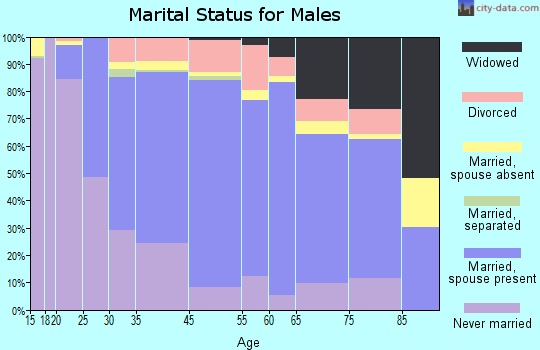 Bridgeview marital status for males