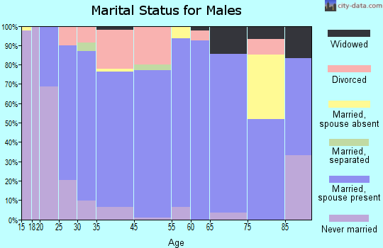 Brighton marital status for males