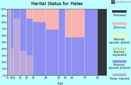 Brocton marital status for males