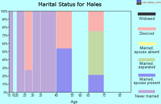 Brooklyn marital status for males
