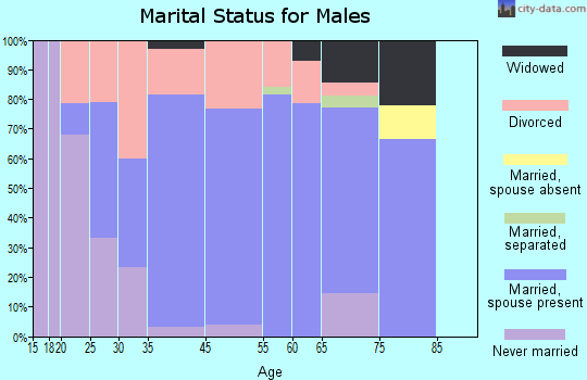 Brookport marital status for males