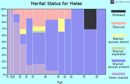 Brownstown marital status for males