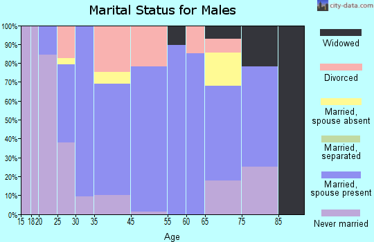 Camp Point marital status for males